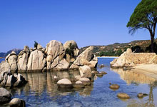 印警方：200公斤大麻神秘失踪，竟是老鼠“大快朵颐”